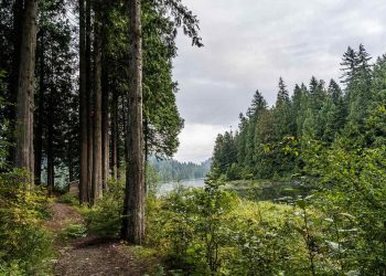Upplev äventyret med ett rymligt och robust tält för stora äventyr