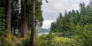Upplev äventyret med ett rymligt och robust tält för stora äventyr