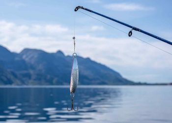 Utforska en värld av roliga fiskedrag för spännande äventyr