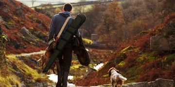 Jakt springer spaniel – Den perfekta jakthunden för äventyr