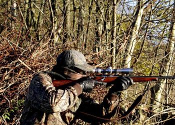 Jägarregistret: En ovärderlig resurs för svenska jägare